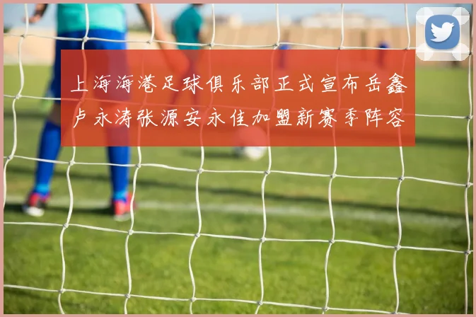 上海海港足球俱乐部正式宣布岳鑫卢永涛张源安永佳加盟新赛季阵容更新