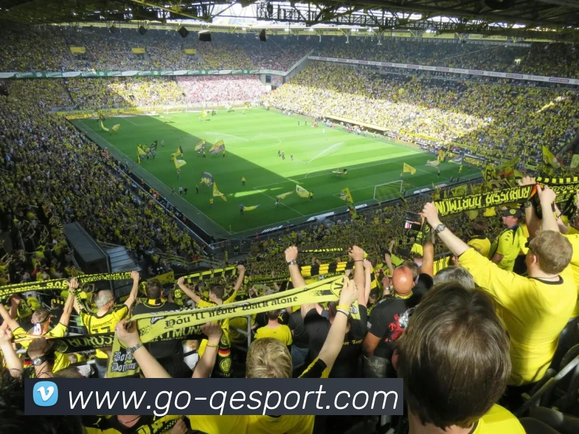 企鹅体育服务体系